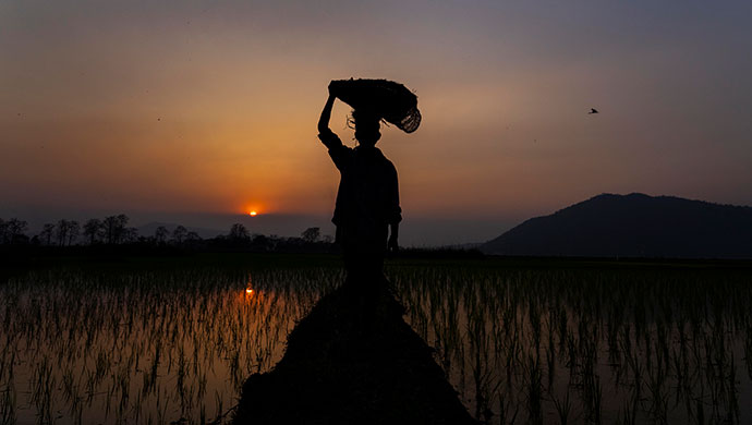 Image for Focus On Sustainability: Sedus Sets An Example Furnishing CAMPUS GERMANY At Expo 2020 Dubai