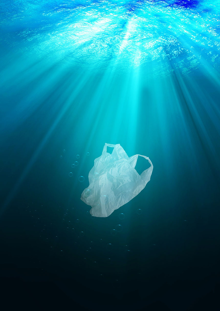 Image for The Environment Agency – Abu Dhabi Announces Ban On Single-Use Plastic Bags From June 2022