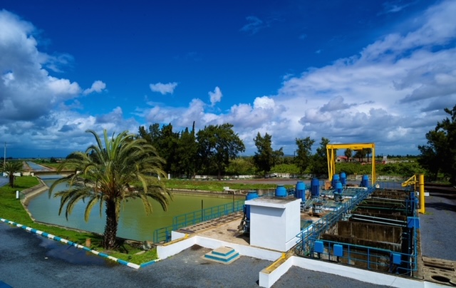 Image for ADFD Joins International Community To Celebrate World Environment Day