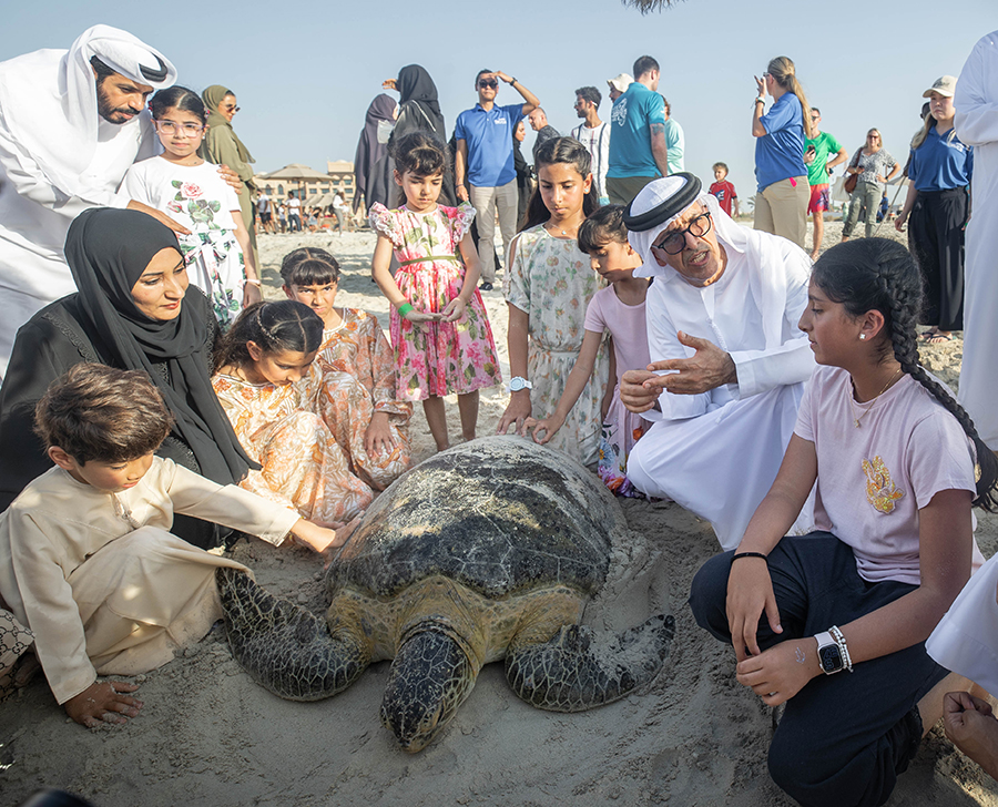 Image for The Environment Agency – Abu Dhabi Has Rescued 178 Turtles Since August 2022