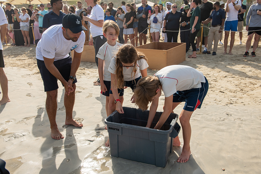 Image for Jumeirah Group Rehabilitates And Releases 21 Endangered Turtles Into The Arabian Gulf On The Occasion Of World Sea Turtle Day
