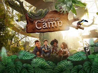 Image for Summer Camp In The Rainforest: The Unique Eco-Friendly Summer Camp Experience Returns To The Green Planet
