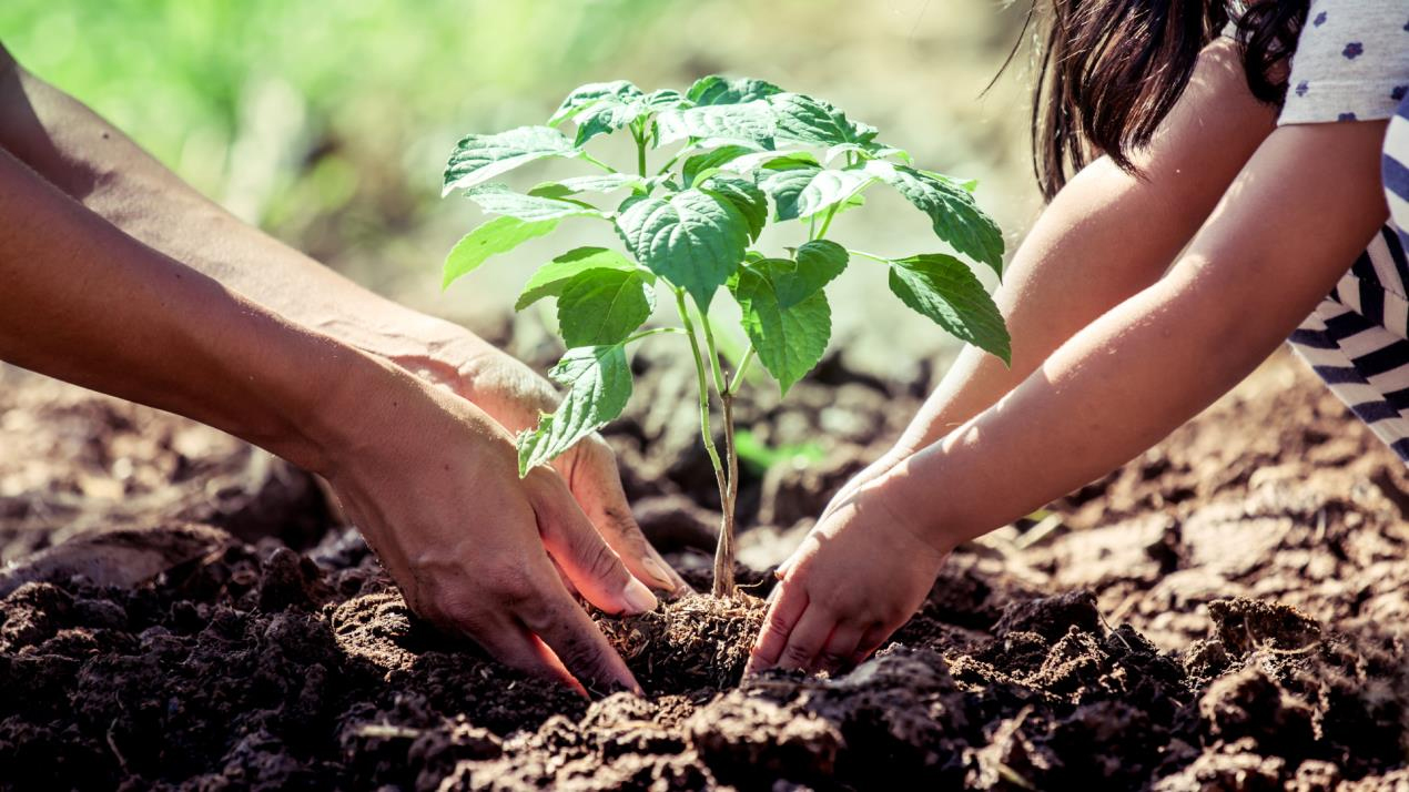 Image for Anantara Desaru Coast Resort & Villas Launches New Nature-Based Guest Experiences