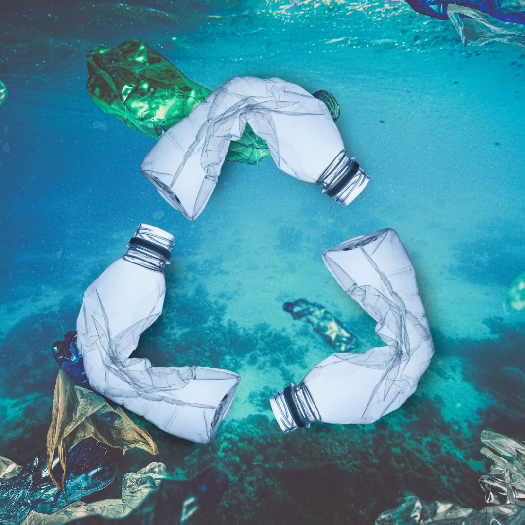 Image for How Is The UAE’s Rebound Plastic Exchange Program Protecting The Region’s Marine Life?