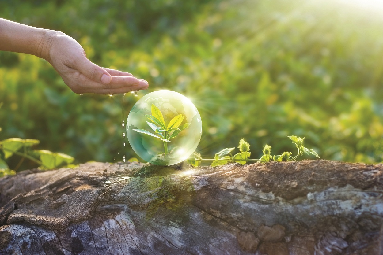 Image for Axis Communications Sustainability Report Showcases Commitment To Sustainable Business Practices