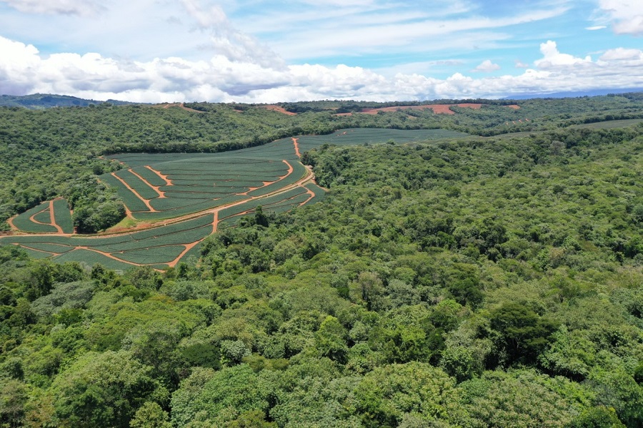 Image for Fresh Del Monte Sets New Standards In Sustainability With 2022 Report