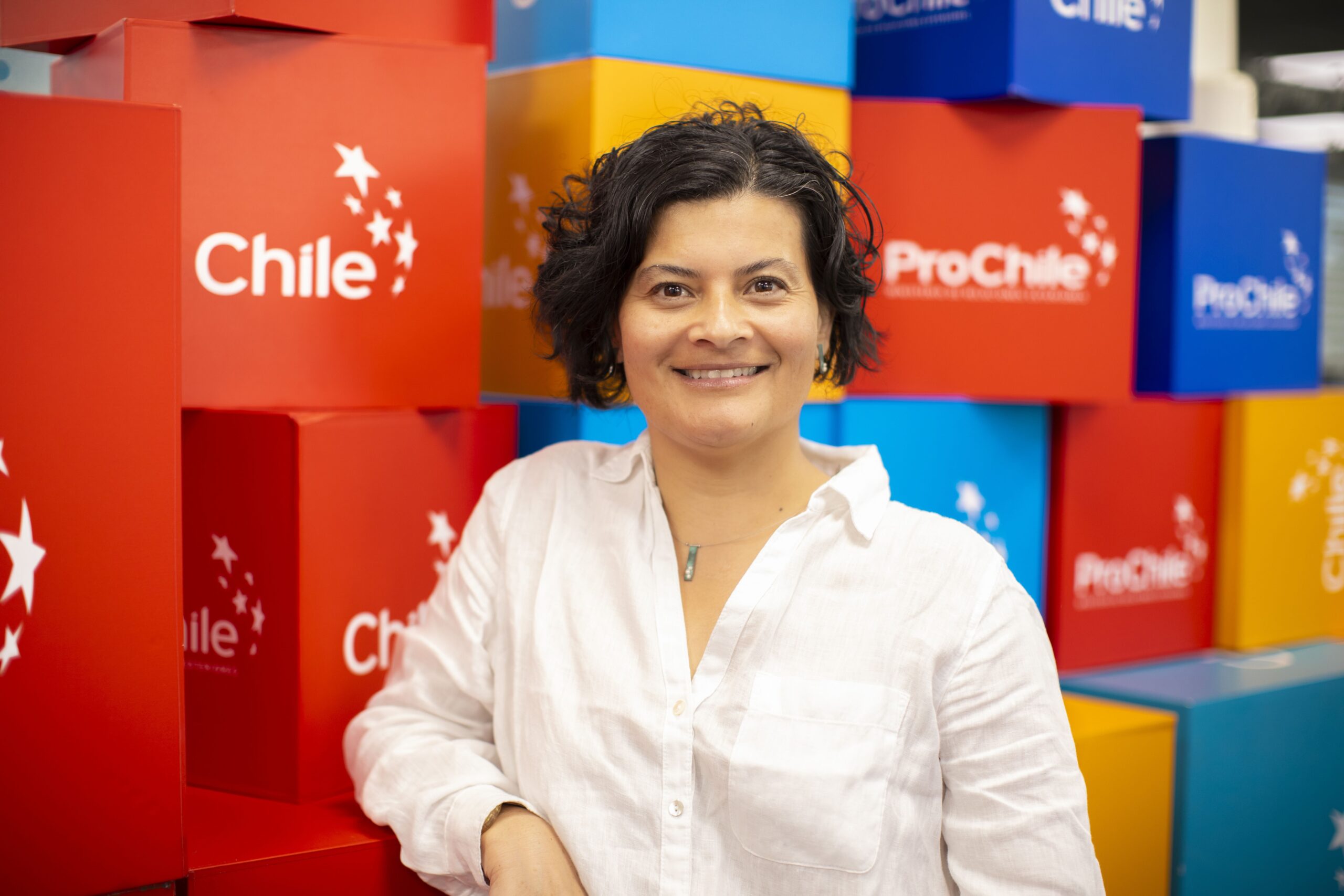 Image for Chile’s pavilion at COP28 presents effective initiatives, solutions to address climate change