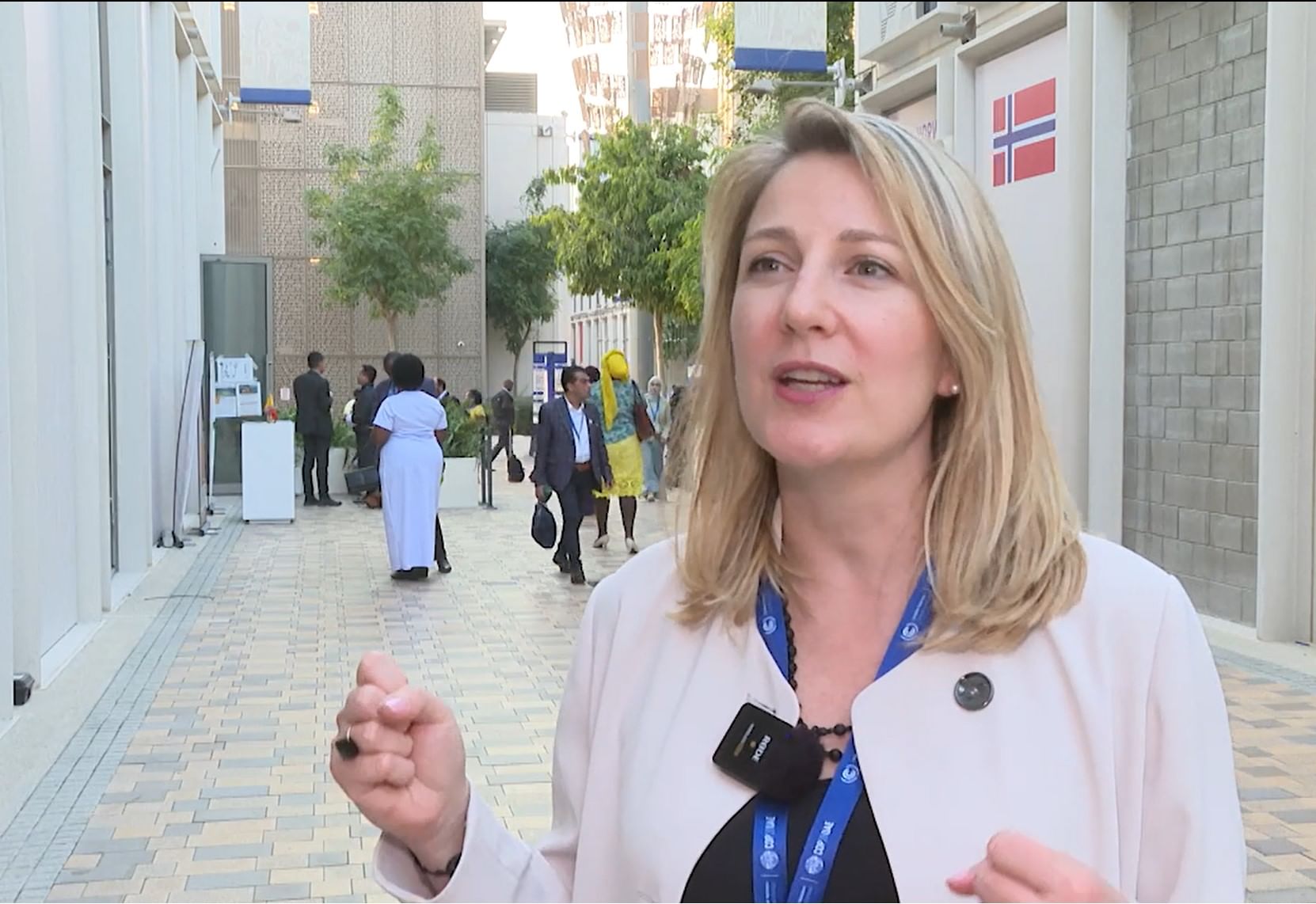 Image for COP28 enhances role of private sector in addressing climate change: UNICEF Official