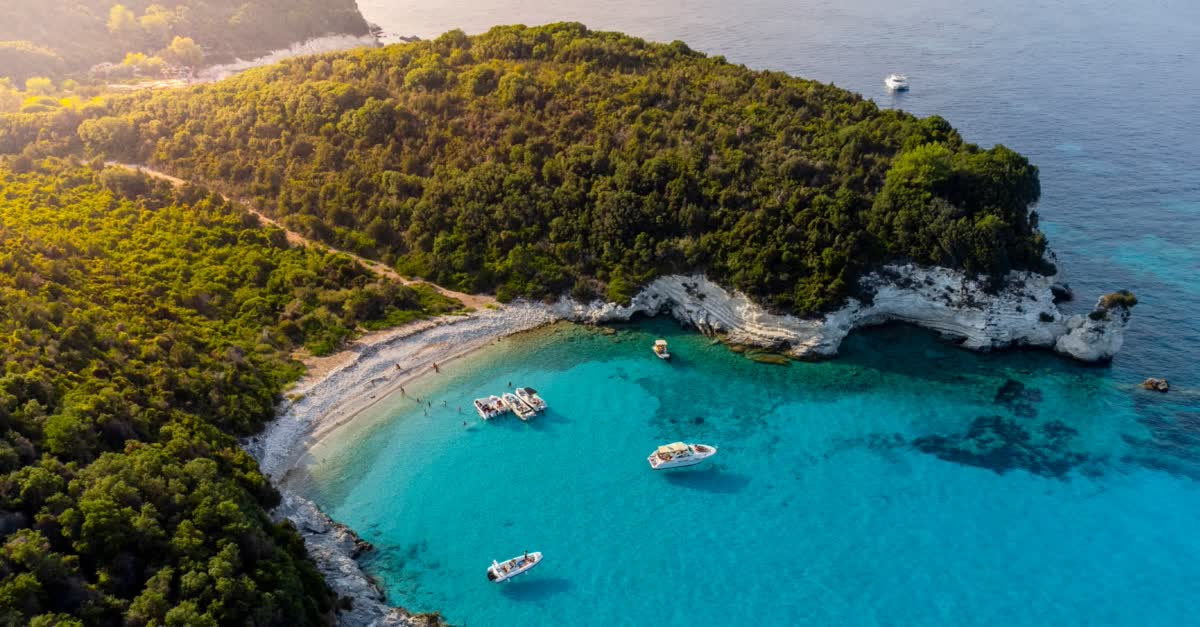 Image for Greening Education Hub Puts Green Education At The Forefront Of Global Climate Discussions