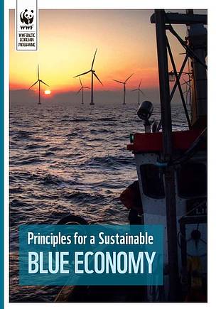 Image for Emirates Nature-WWF Teams Up With Accenture To Propel UAE’s Sustainable Blue Economy