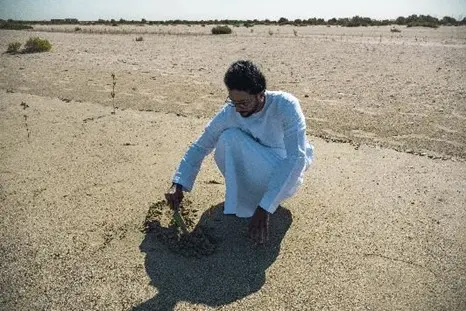 Image for Millennium Hotels And Resorts MEA And The Storey Group Join Forces To Plant 100,000 Trees Across The World