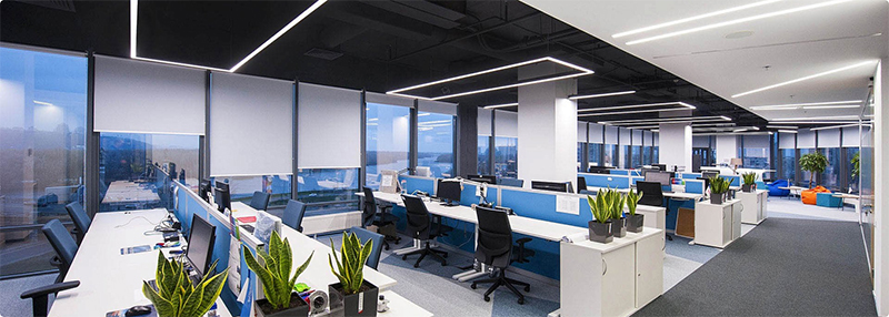 Image for The Role Of AI In UAE’s Green Revolution / Marketing & Sustainability