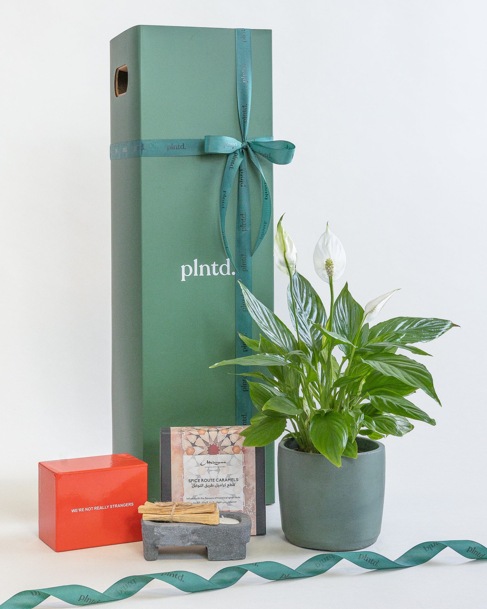 Image for Gifts That Grow: Plntd Celebrates Eid Al-Adha With Meaningful Green Gifting Sets