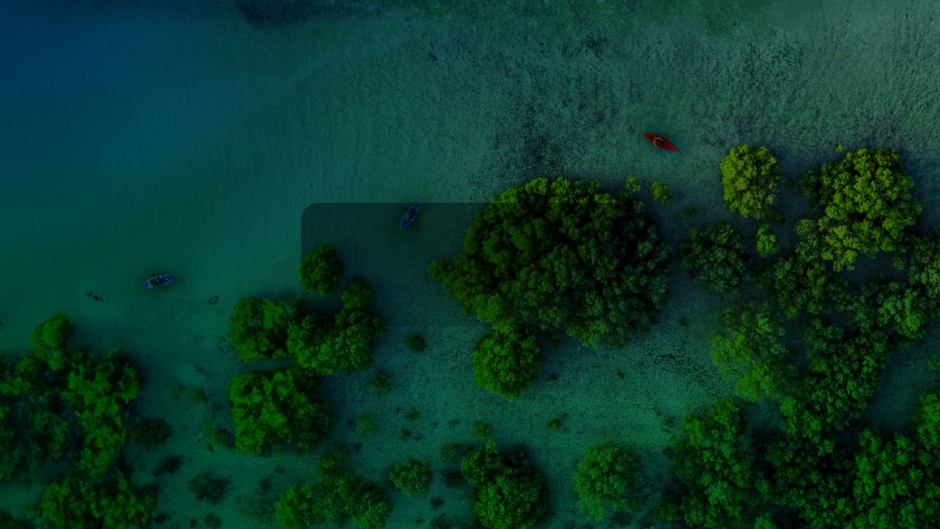 Image for EAD Issues New Regulation On Environmental Emergency Preparedness, Response In Abu Dhabi