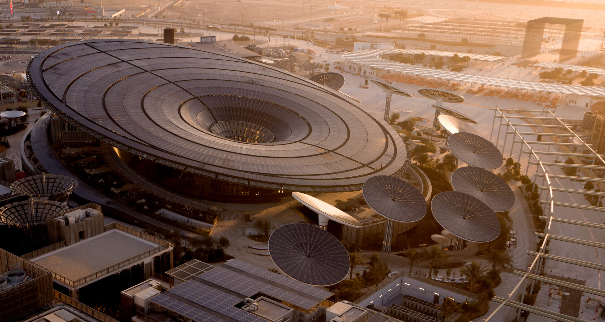 Image for Exploring Untapped Potential: Expo City Dubai To Become Home For The First Centre For Species Survival Focused On Fungi Conservation