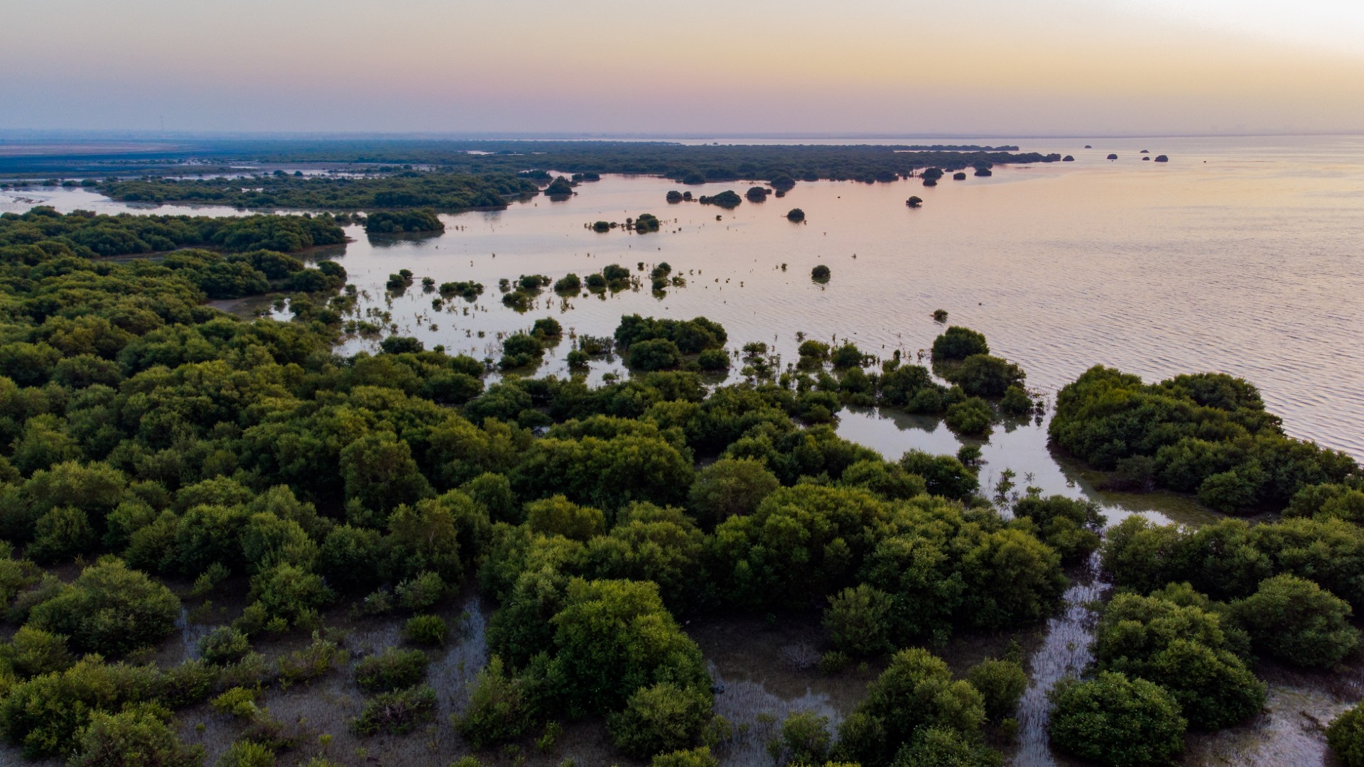Image for Emirates Driving Company Launches UAE’s First Eco-Friendly Driving Training Program In Partnership With CarbonSifr