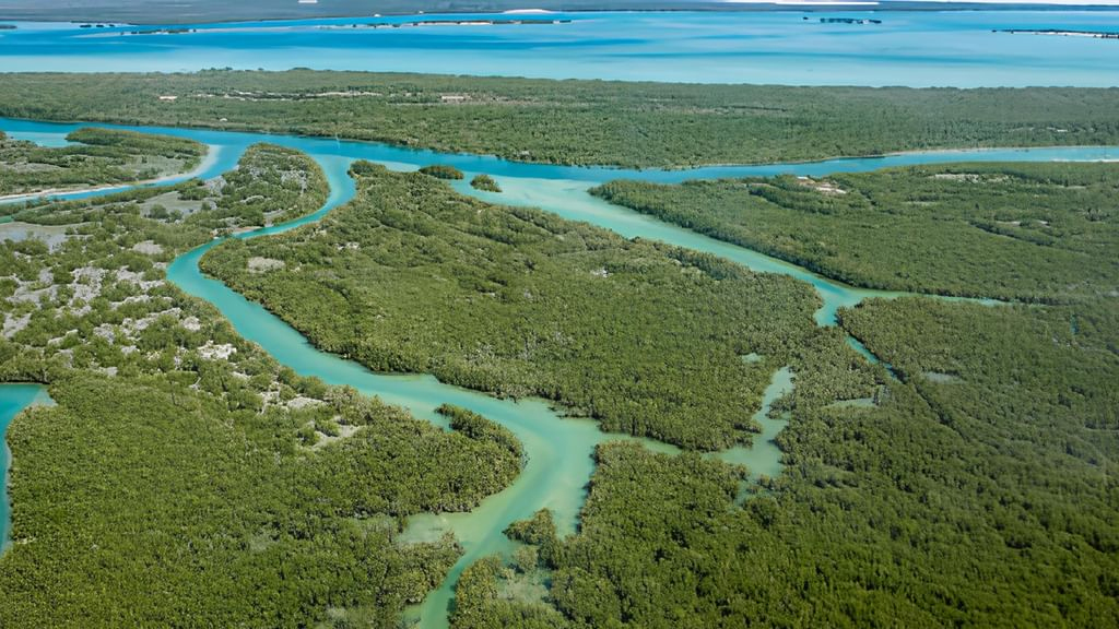 Image for Environment Agency – Abu Dhabi Becomes First UAE Regulator To Achieve Carbon Neutrality Certification For Second Time