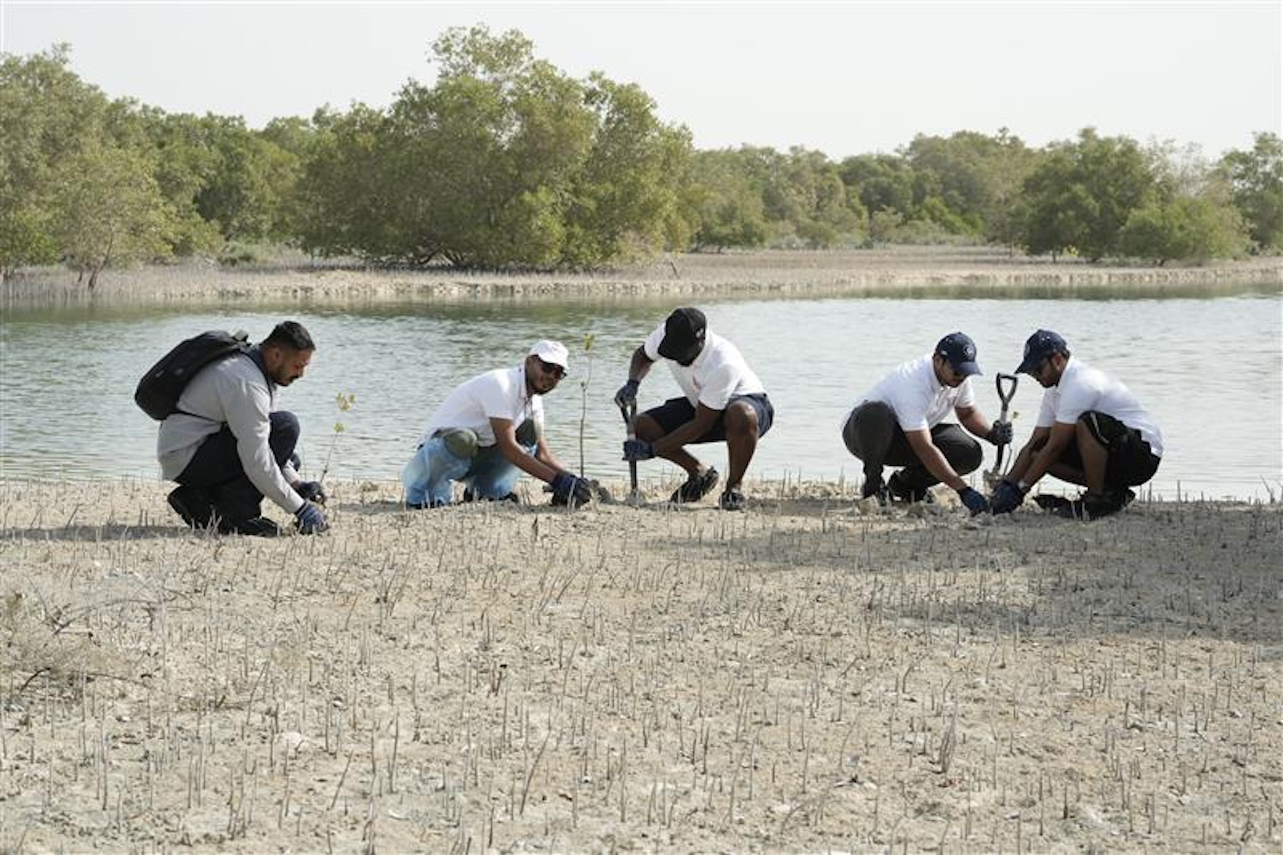 Image for Dulsco Group And Clients Pledge Climate Change Action By Planting 1,000 Mangrove Trees