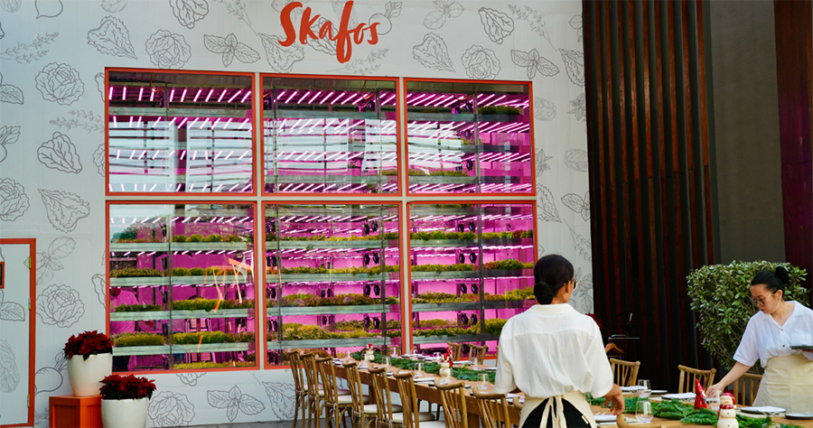 Image for Canopy By Hilton Dubai Al Seef Launches Skafos Hydroponic Farm