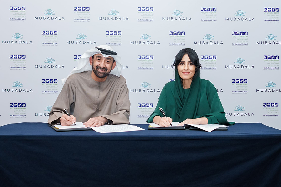 Image for Mohamed Bin Zayed Species Conservation Fund, Mubadala Announce International Dugong, Seagrass Conservation Initiative