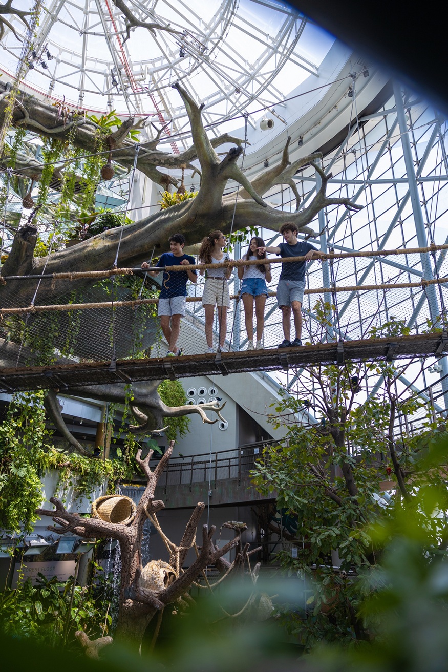 Image for The Green Planet™ Dubai Goes Dark For Earth Hour To Champion Conservation