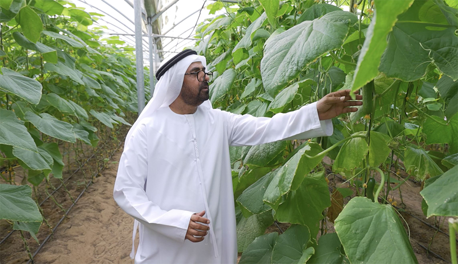 Image for Silal, National Agricultural Centre Join Forces To Empower UAE Farmers, Enhance Food Security