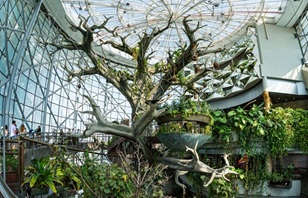 Image for The Green Planet™ Dubai Marks Earth Day With A Week Of Nature-Led Experiences