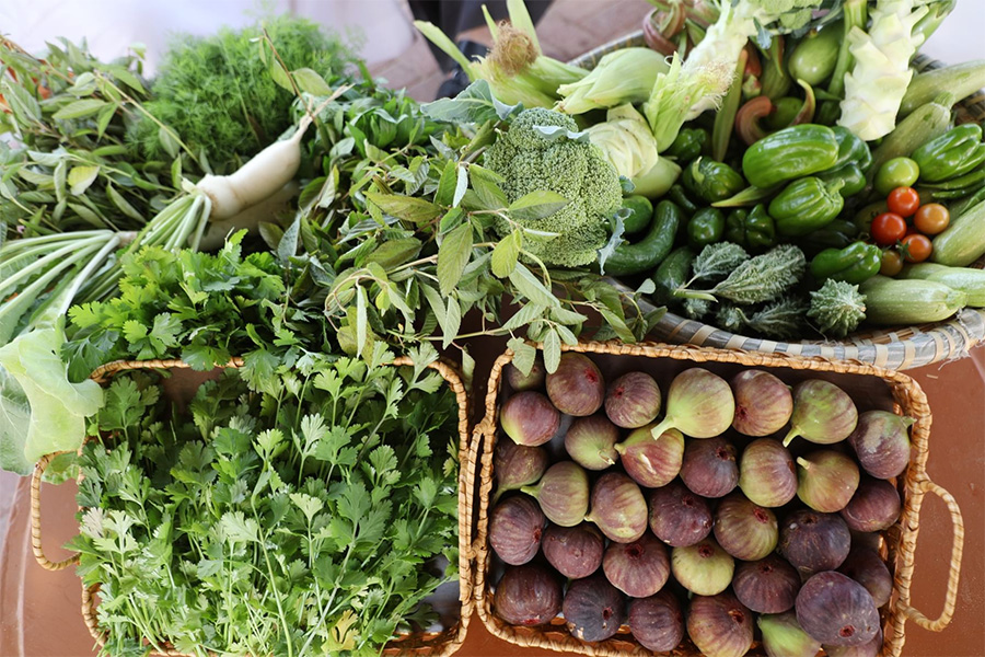 Image for Al Hamriyah Municipality Launches Model Community Farm