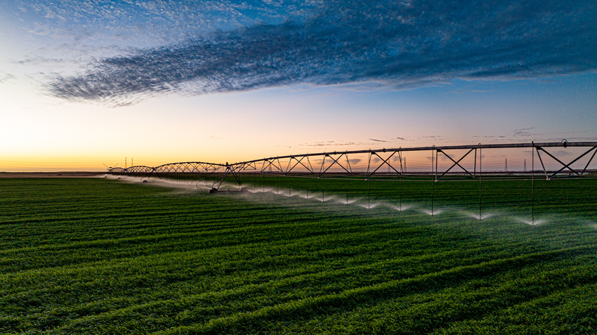 Image for Abu Dhabi’s Al Dahra Publishes Sixth Annual Sustainability Report, Advancing Global Farming Platform
