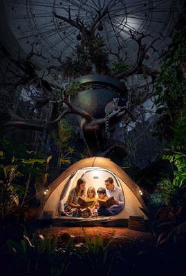 Image for Camping in the Rainforest returns to The Green Planet™ Dubai with themed overnight adventures