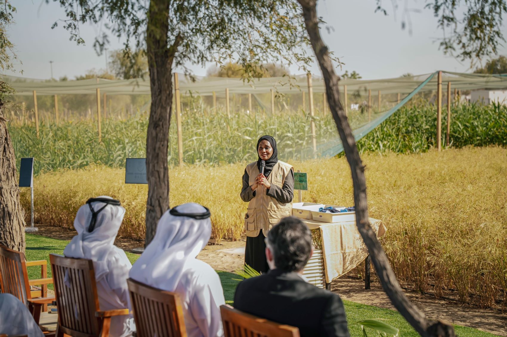 Image for ICBA Organizes “Millets Harvest Day” to Support the Adoption of Climate-Smart Crops in the UAE