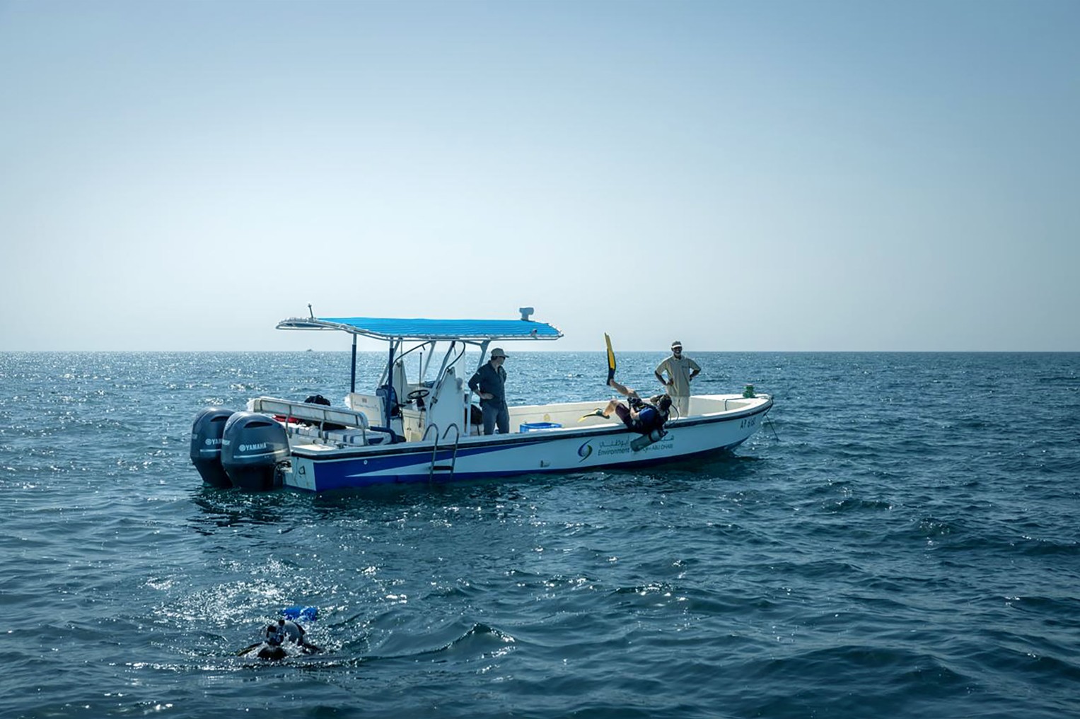 Image for Environment Agency – Abu Dhabi Completes Oyster Bed Mapping Survey Across Emirate’s Marine Waters