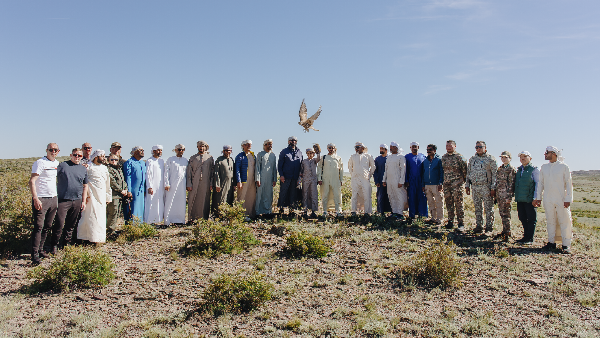 Image for Sheikh Zayed Falcon Release Programme Releases 2,400+ Falcons In The Wild Since 1995 Founding