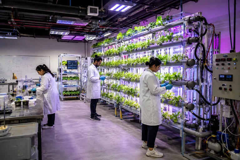 Image for Sharjah Drives New Initiatives To Propel Sustainability Technologies From Lab To Market