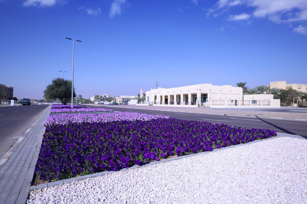 Image for Al Ain Showcases 99 Million Year-Round Blooms In Evolving Tapestry